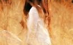 低调总裁二手妻